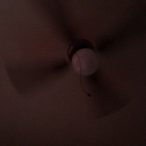 Meet your Posher, Martha